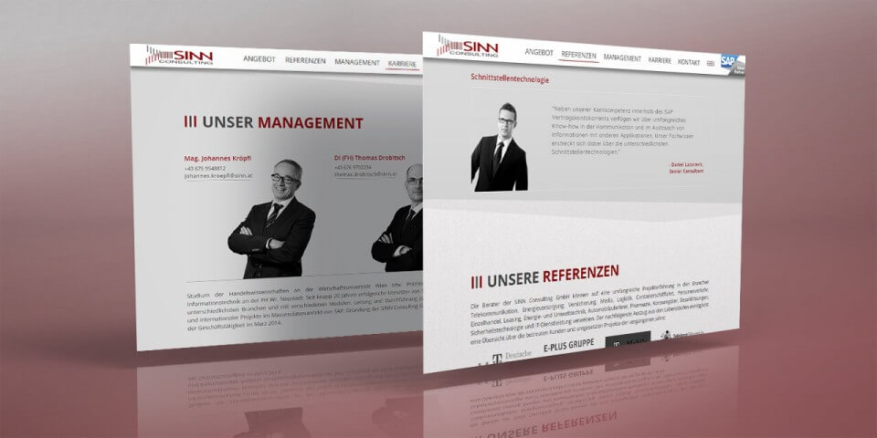 Projektbild-Web-02_Sinn-Consulting.jpg