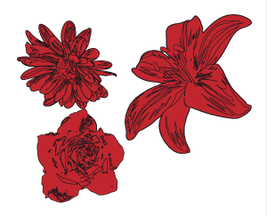 mehrere, illustrierte Blumen