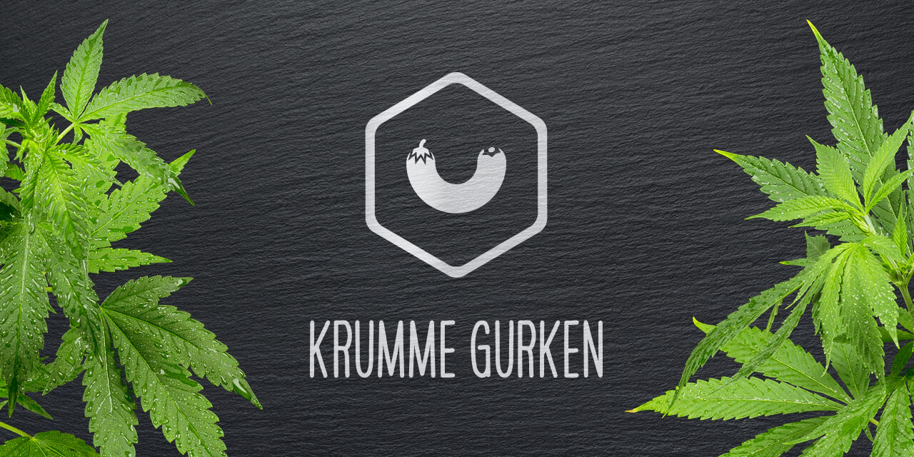 Projektbild: Krumme Gurken