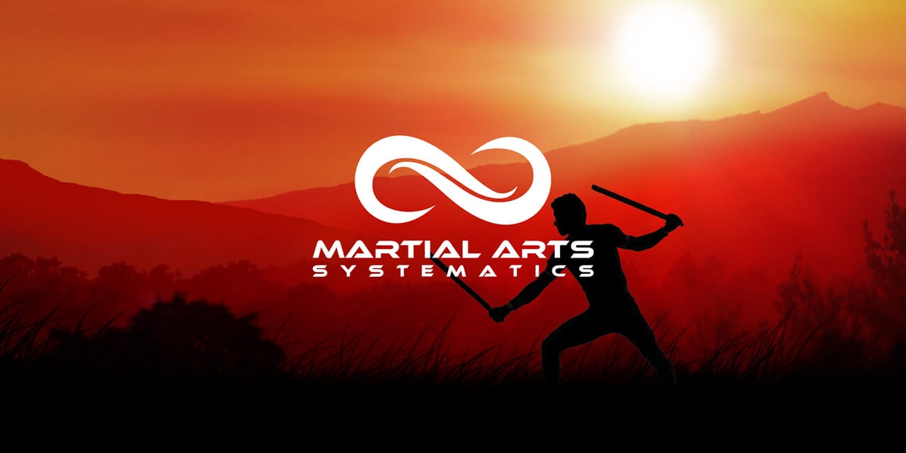 Projektbild: Martial Arts Systematics Wien